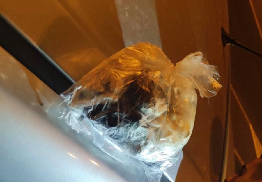 اعتقال مشتبه من حيفا بحيازة المخدرات
